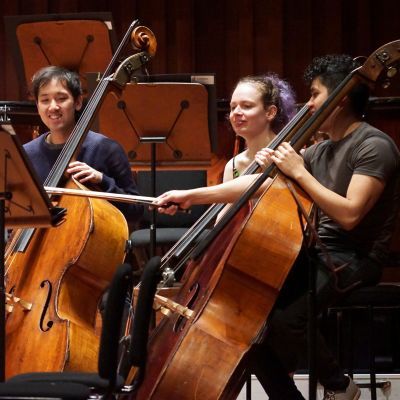 double bass